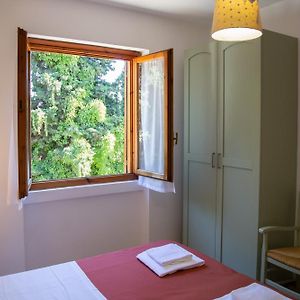 Economy One-Bedroom Apartment